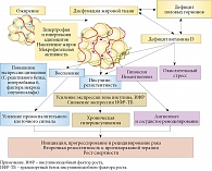 Рис. 3. Потенциальные эндокринные механизмы канцерогенеза и роль дефицита  витамина D