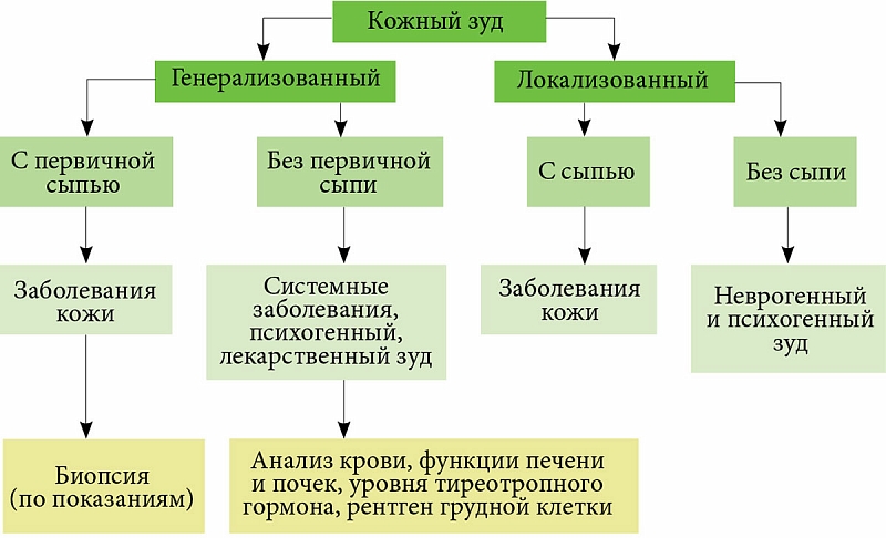 кожный зуд. фото онлайн кожный зуд. фото