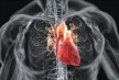 Почти у половины  больных псориазом эхокардиография выявляет патологию сердца и сосудов