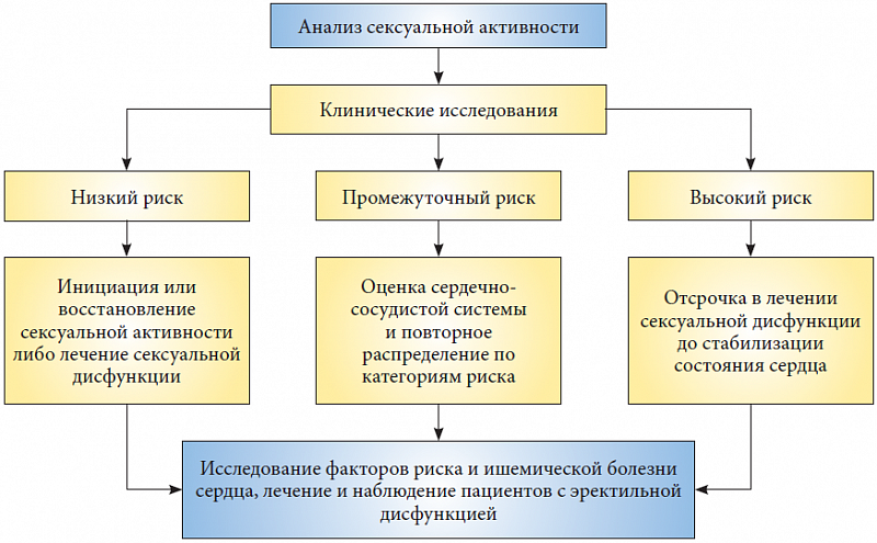 Курсовая работа по теме Сексуальные дисфункции и другие сексуальные расстройства