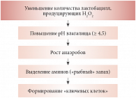 Рис. 3. Схема развития бактериального вагиноза