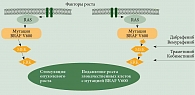 Рис. 1. Митоген-активирующий протеинкиназный путь с мишенями для таргетных препаратов