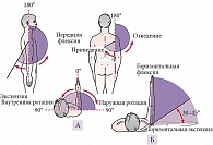 Рис. 3. Объем движений в плечевом суставе: А – передняя флексия – экстензия, отведение – приведение, наружная – внутренняя ротация; Б – горизонтальная флексия – экстензия