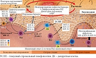 Рис. 1. Современная концепция патогенеза атопического дерматита